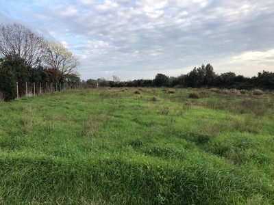 T/133 Vendita terreno agricolo seminativo, Cerveteri Image 1