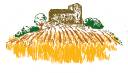 Terreni e Casali